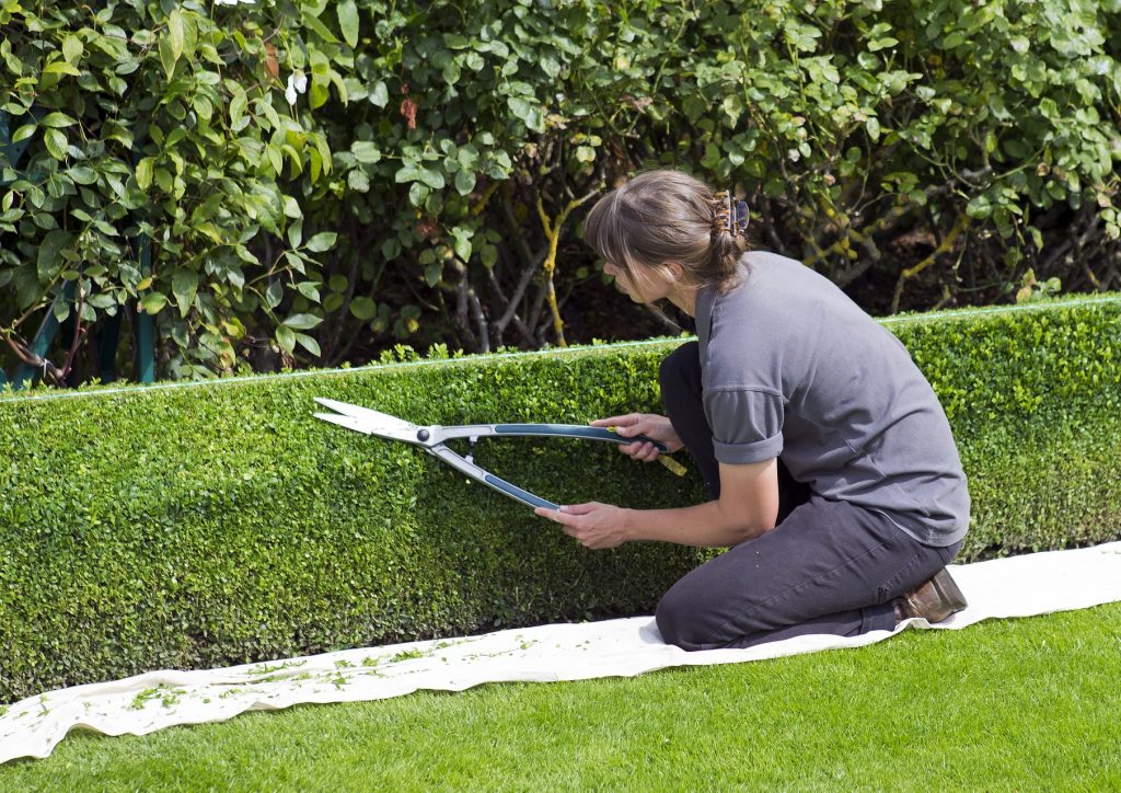 hedge-services